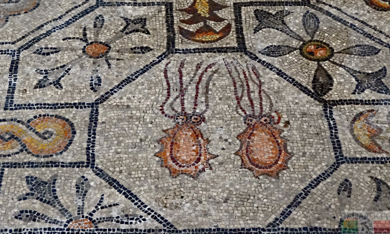 Akwileja - mozaiki w bazylice