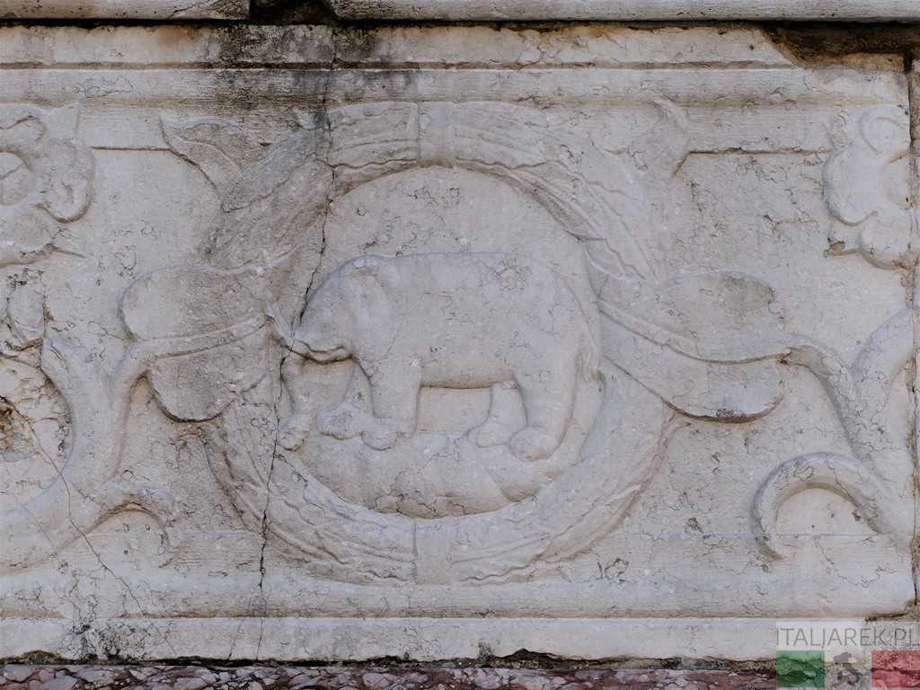 Słoń na fasadzie Tempio