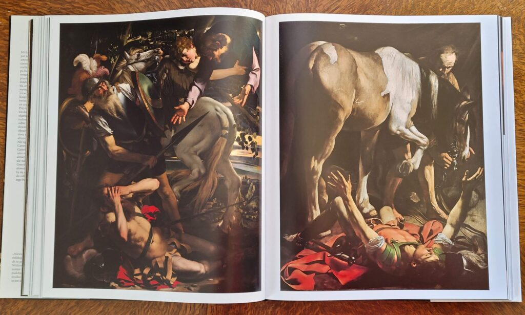 Giovanni Careri, Caravaggio. Stwarzanie widza - strony wewnętrzne książki.