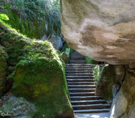 Sasso Spicco – powrót do sanktuarium La Verna