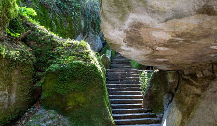 Sasso Spicco – powrót do sanktuarium La Verna