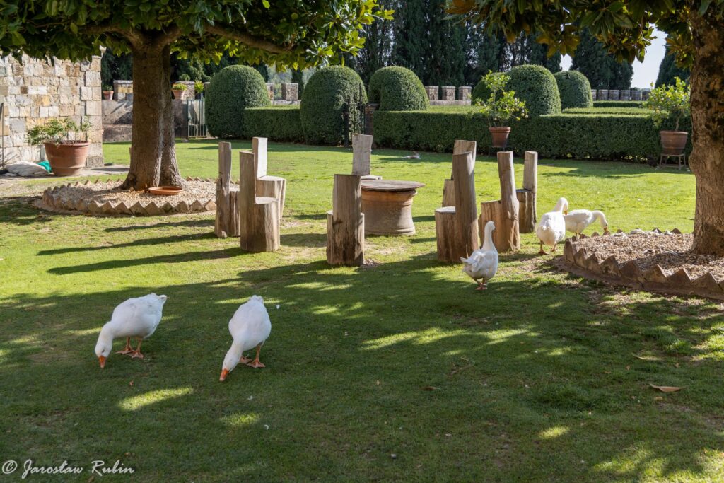 Badia a Passignano - ogród