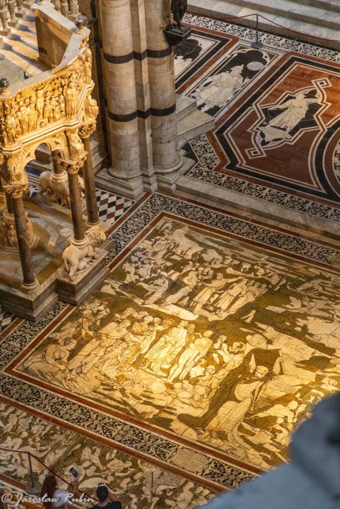 Katedra w Sienie, posadzka, widok z poddasza