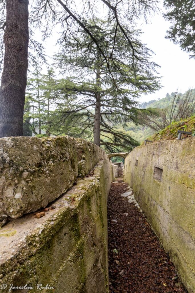 Transzeje na Castel Dante di Rovereto