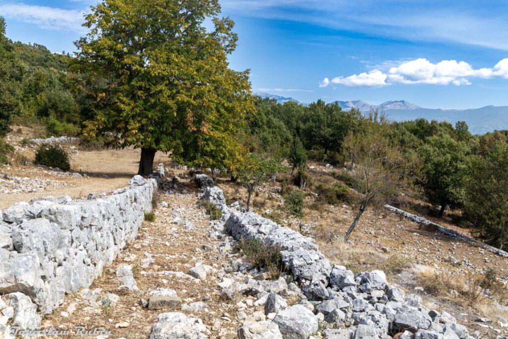 Monte Cassino - okolice Domku Doktora