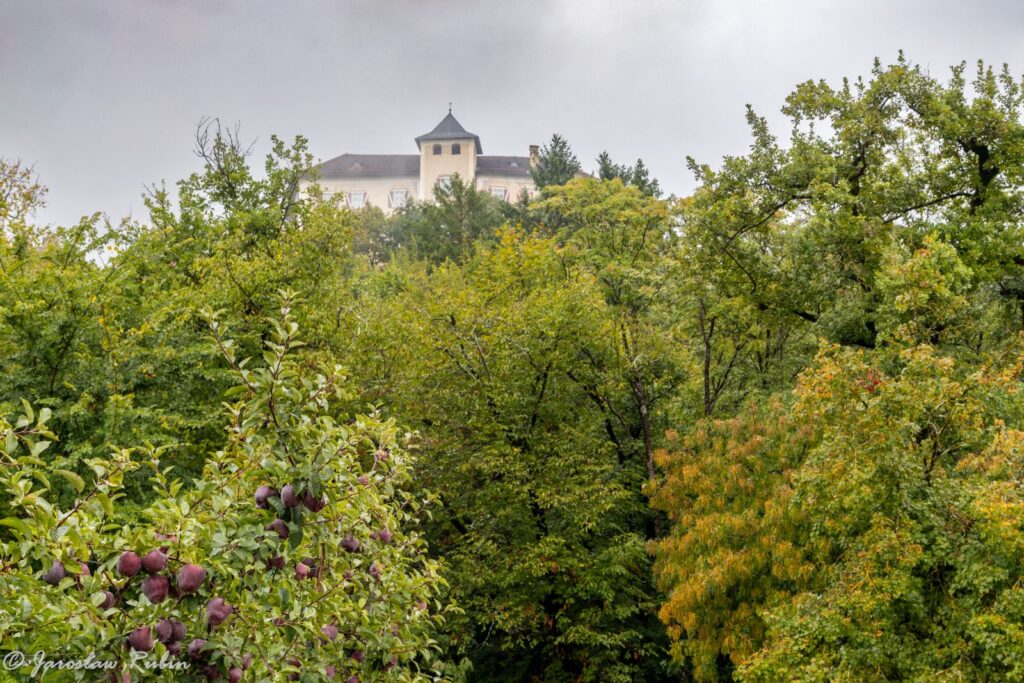 Castel Thun i jabłonie